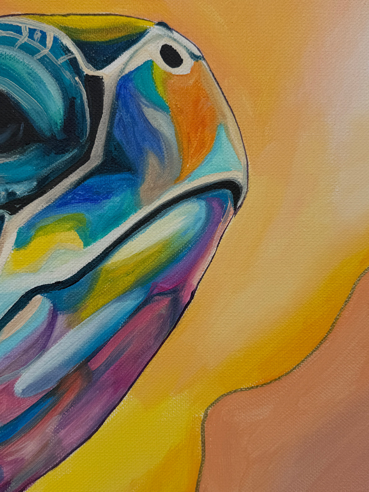 colors of the sea
