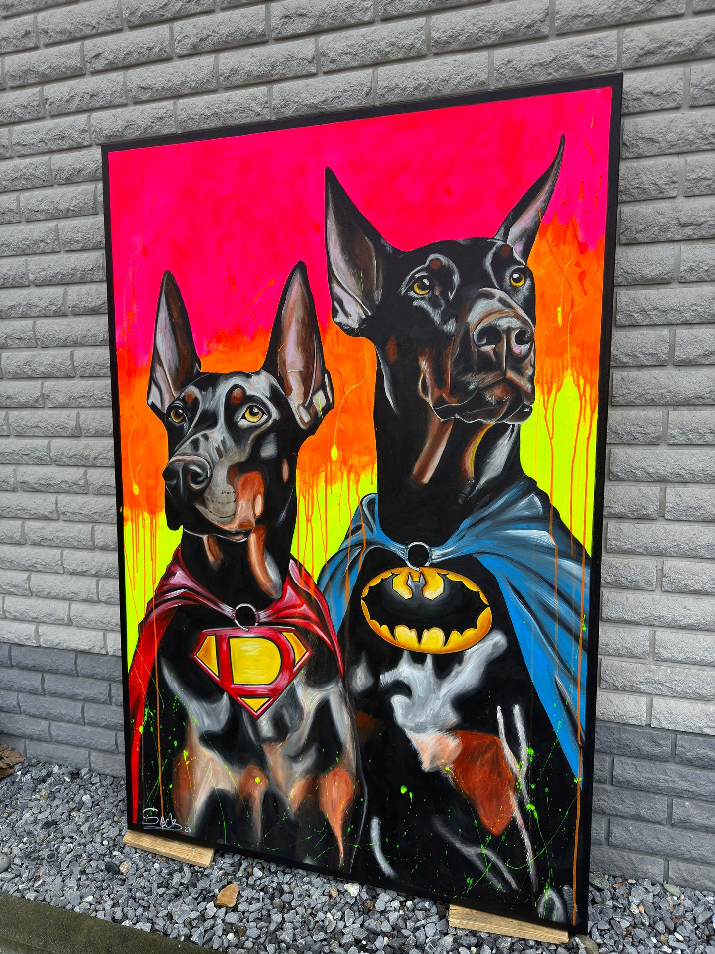 hero dogs