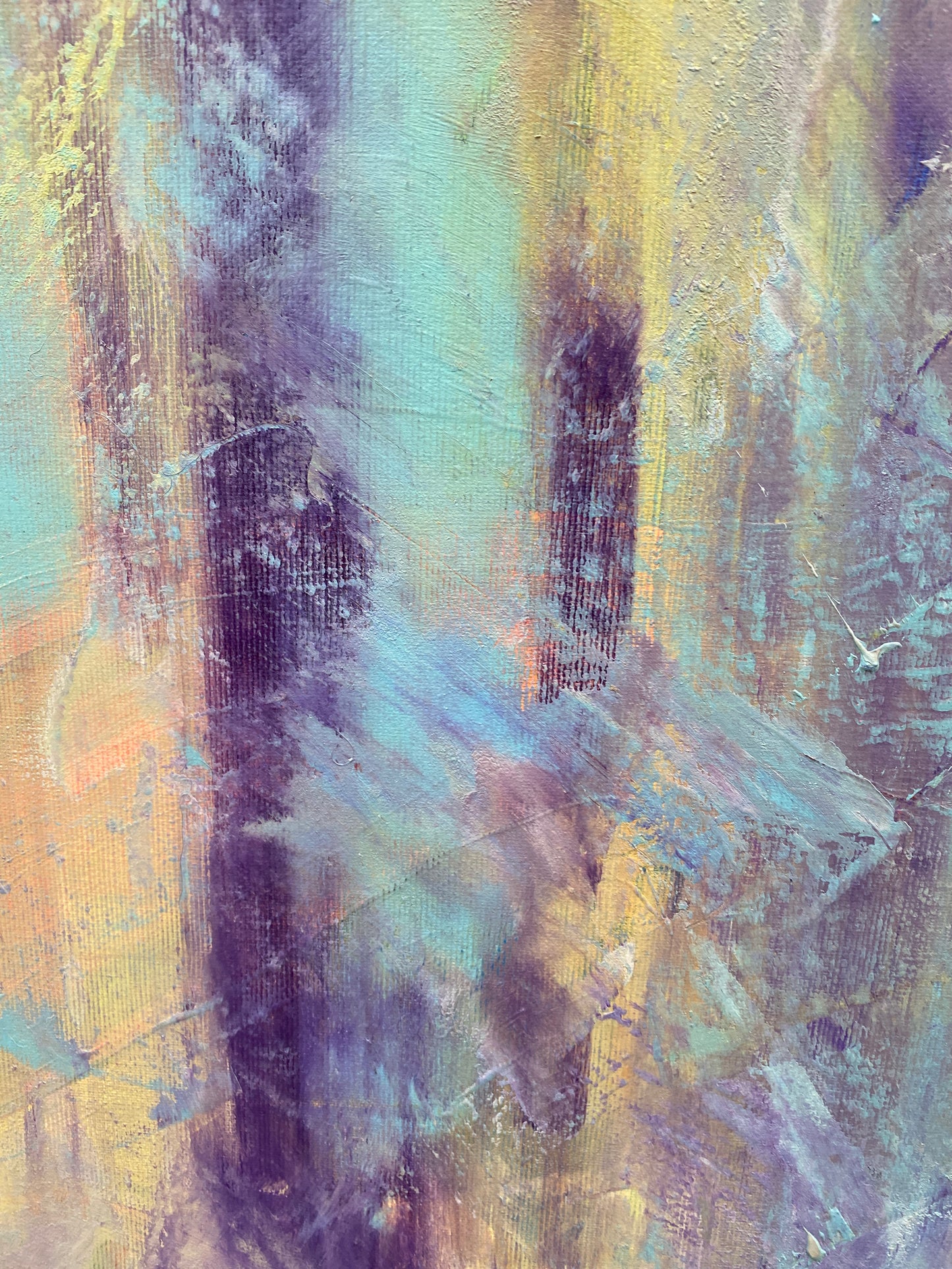 sunrise in the forest