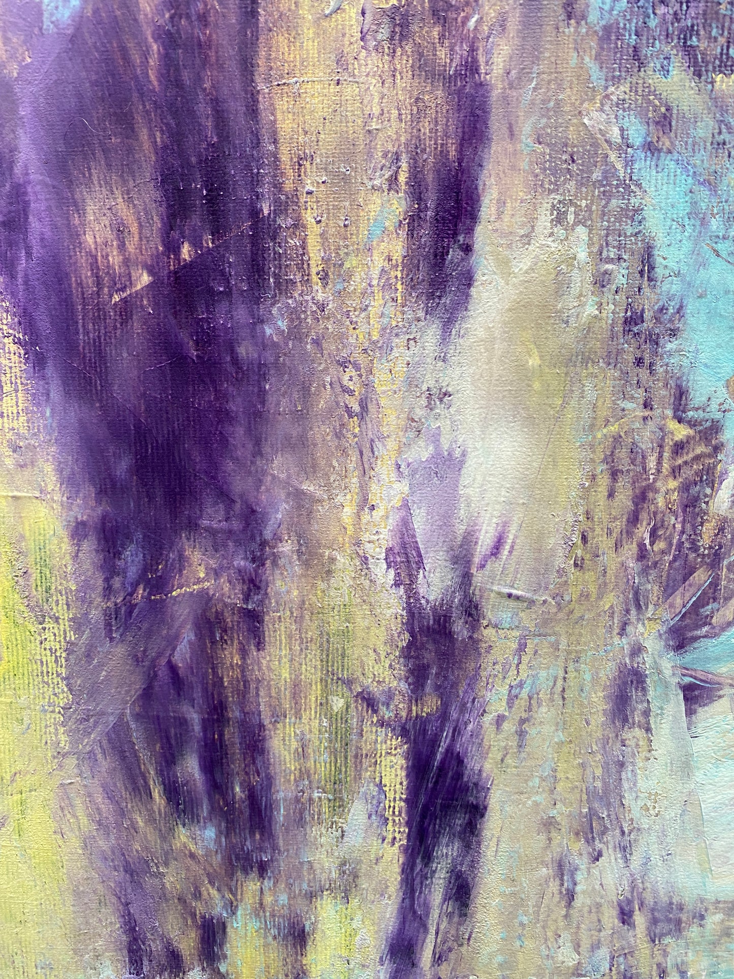 sunrise in the forest