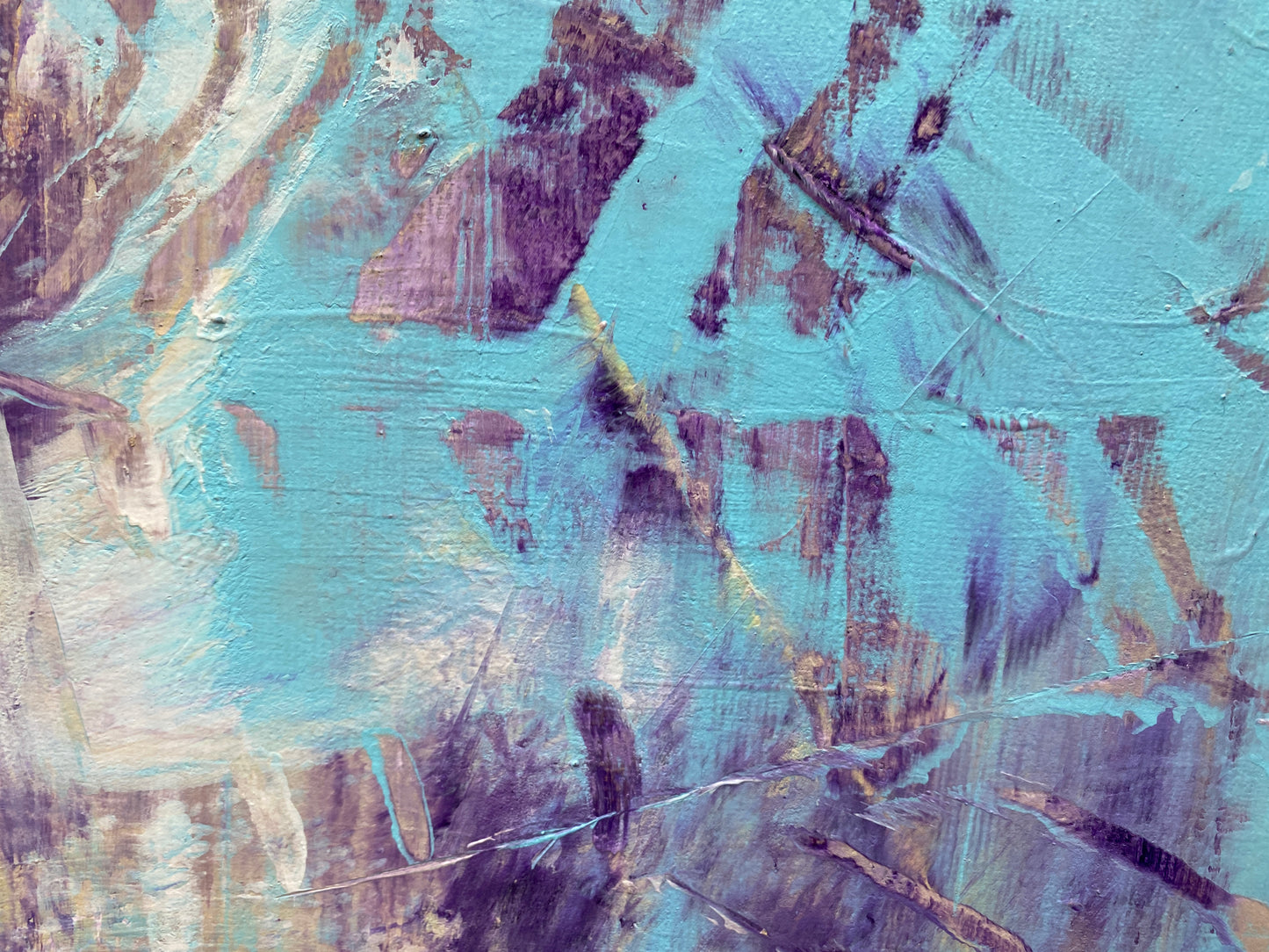 sunrise in the forest