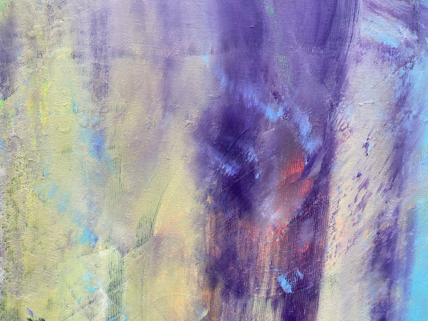 sunrise in the forest